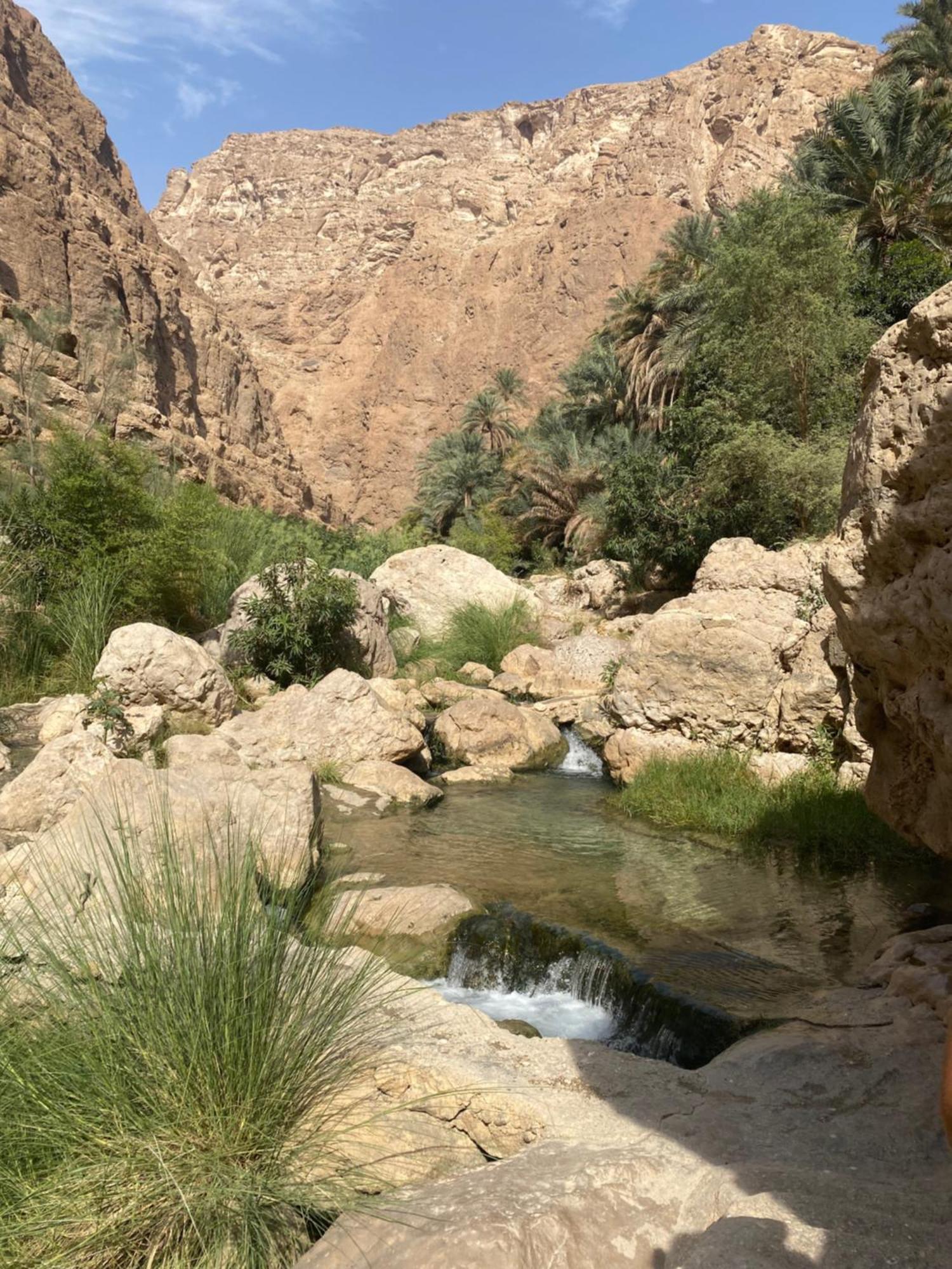 Wadi Shab Guest House Tiwi Exterior photo