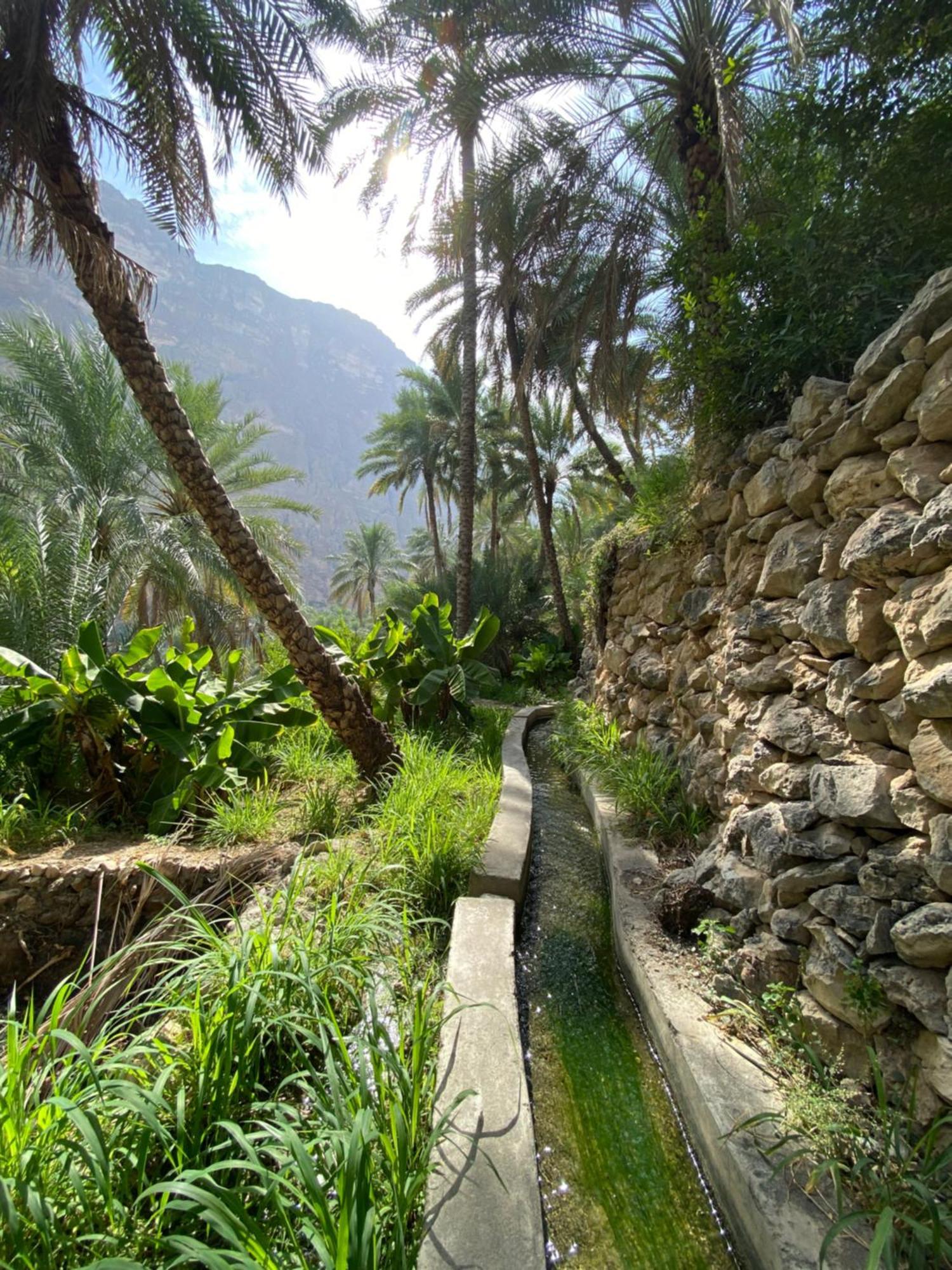 Wadi Shab Guest House Tiwi Exterior photo