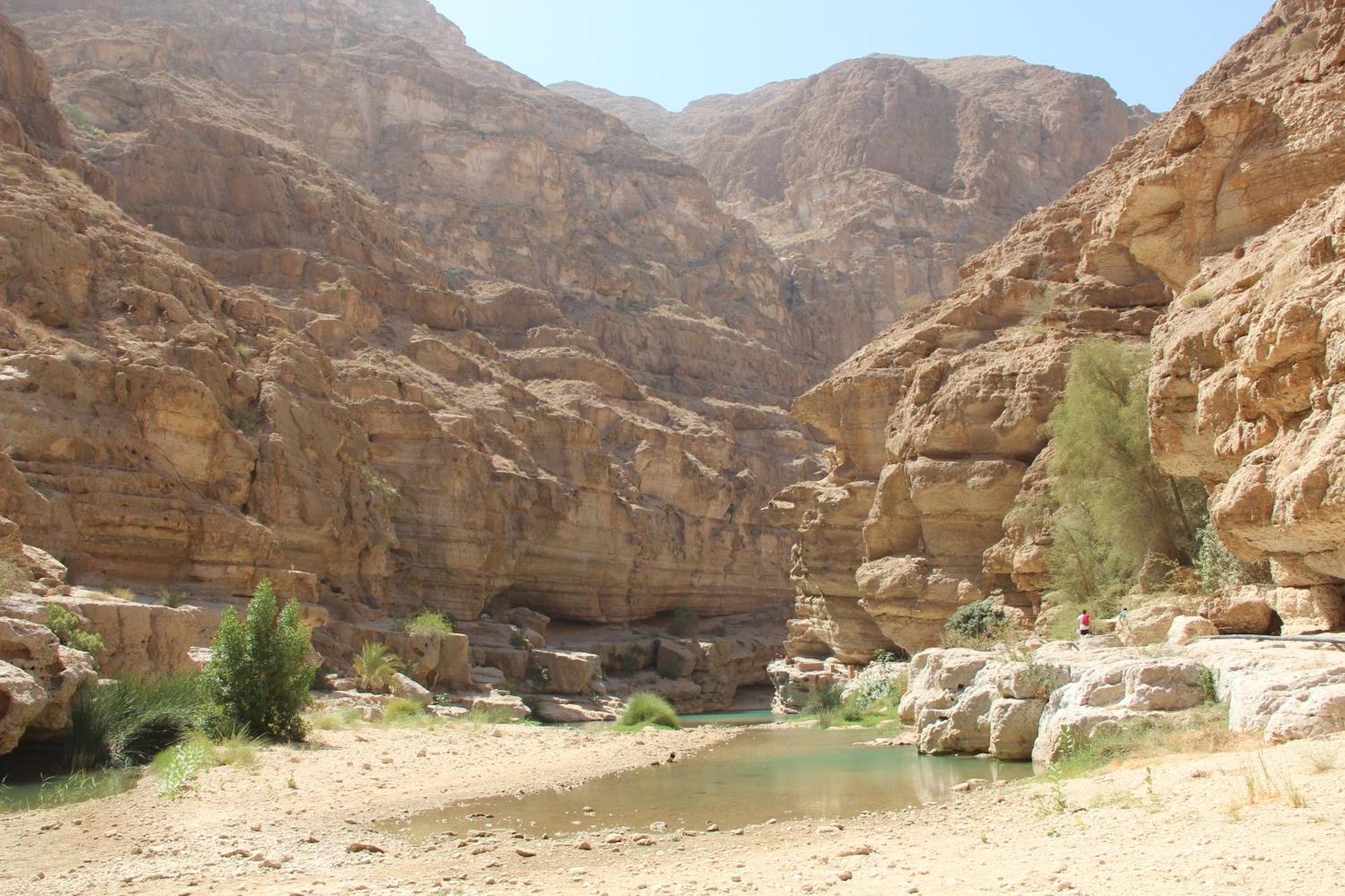 Wadi Shab Guest House Tiwi Exterior photo